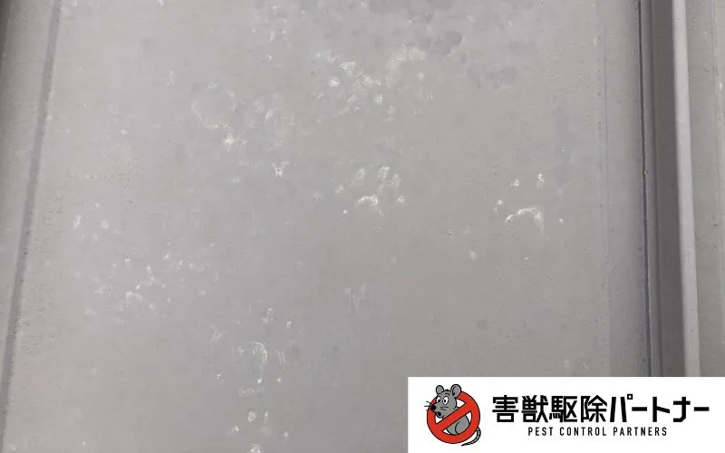 屋根に残ったハクビシンの足跡2