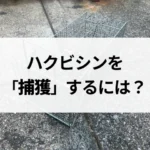 記事サムネイル