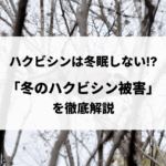 記事サムネイル