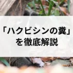 記事サムネイル