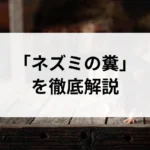 記事サムネイル