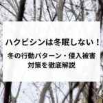 記事サムネイル