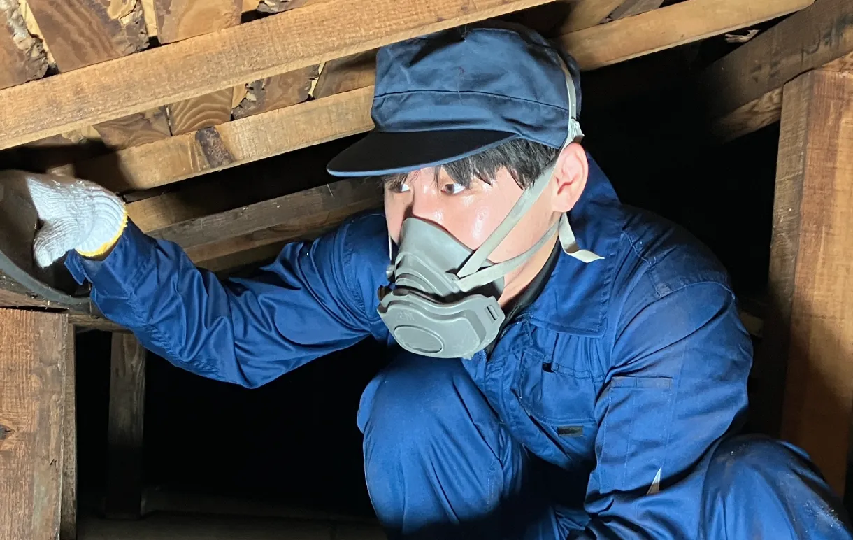 執筆者 林 翔平