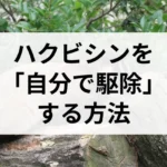 記事サムネイル