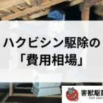 記事サムネイル