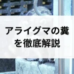 記事サムネイル