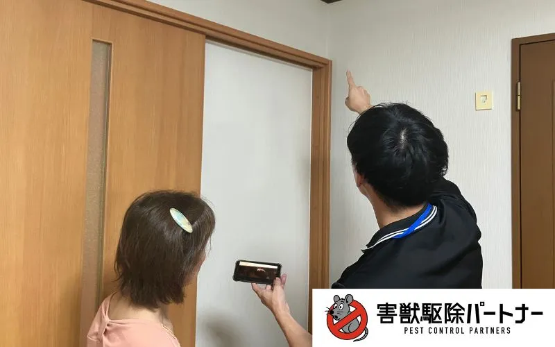 害獣点検の様子