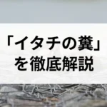 記事サムネイル