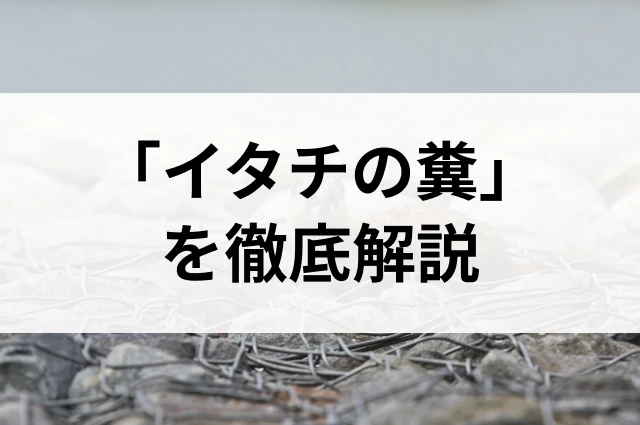 コラムサムネ