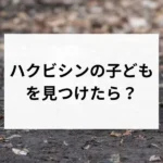 記事サムネイル