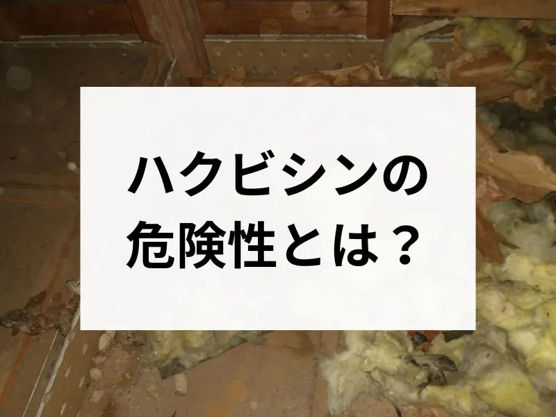 コラムサムネ