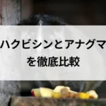 記事サムネイル