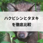 記事サムネイル
