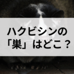 記事サムネイル