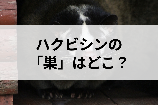 コラムサムネ