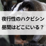 記事サムネイル
