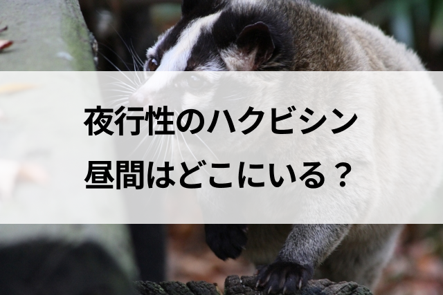 コラムサムネ
