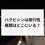 記事サムネイル