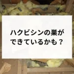 記事サムネイル