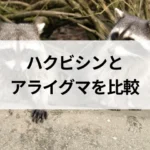 記事サムネイル