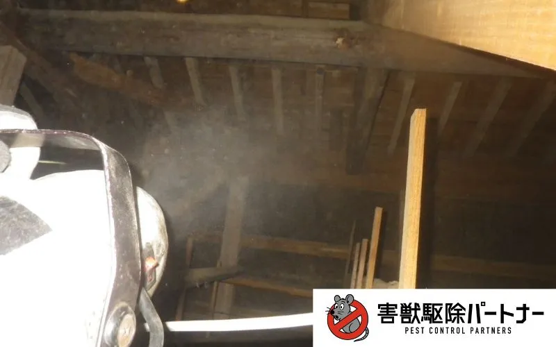 雑菌消毒の様子
