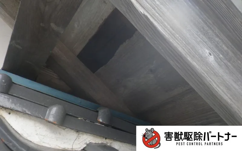 穴塞ぎ施工前①