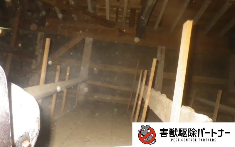 殺虫消毒の様子