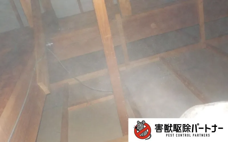 薬剤噴霧の様子