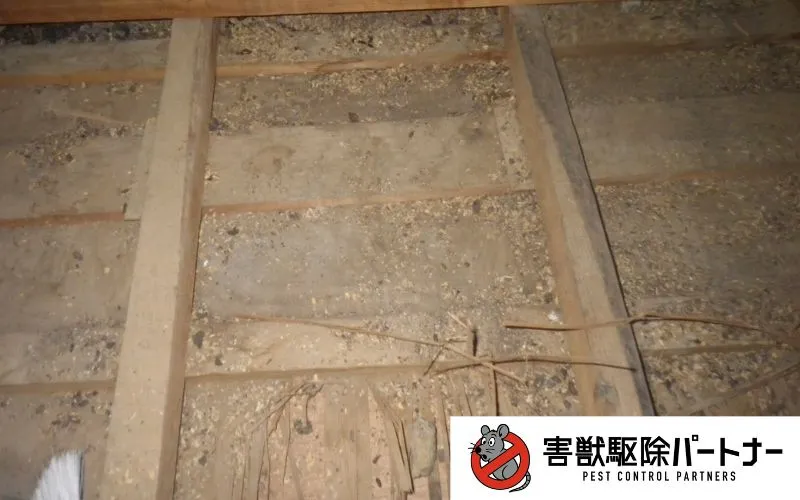 フン清掃施工後②