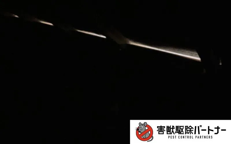 屋根裏の様子(照明なし)