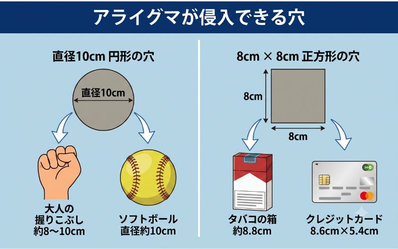 アライグマが通れるサイズ