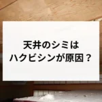 記事サムネイル