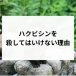 記事サムネイル