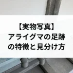 記事サムネイル