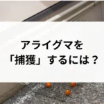 記事サムネイル