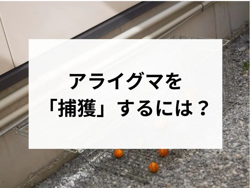 コラムサムネ