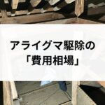 記事サムネイル