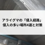 記事サムネイル