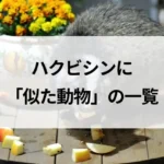 記事サムネイル