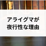 記事サムネイル