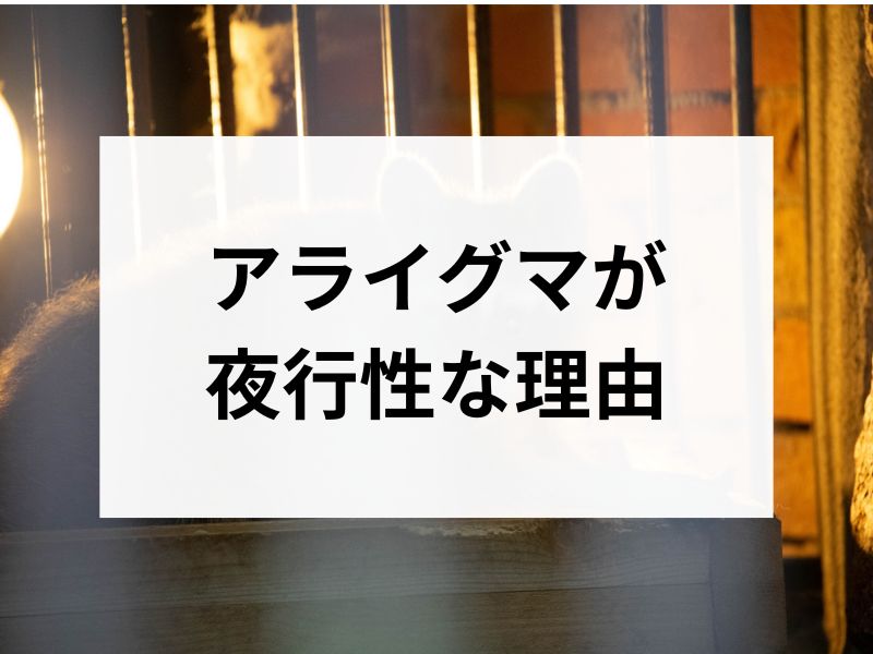 コラムサムネ
