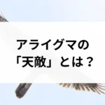 記事サムネイル