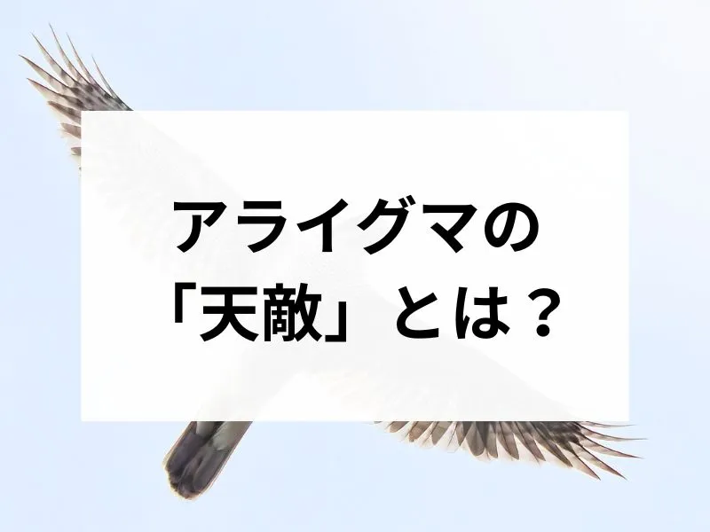 コラムサムネ