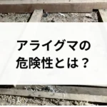 記事サムネイル