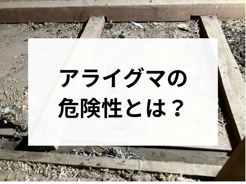コラムサムネ