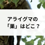 記事サムネイル
