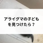 記事サムネイル