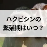 記事サムネイル