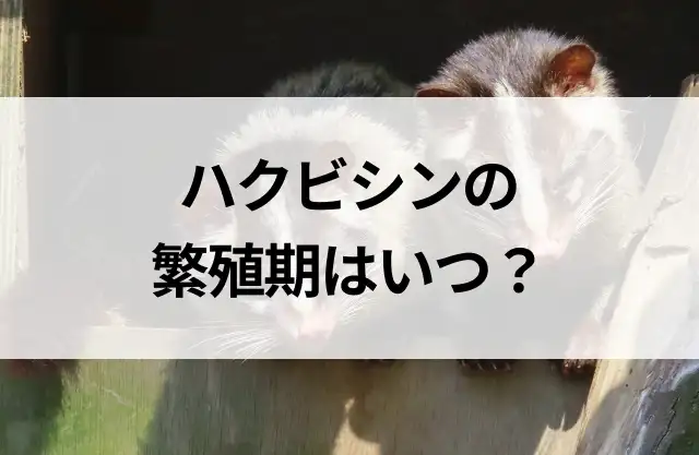 コラムサムネ
