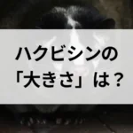記事サムネイル